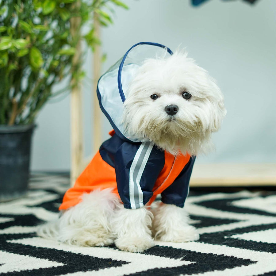 Pets Way Rainstorm Lava Raincoat for Dogs