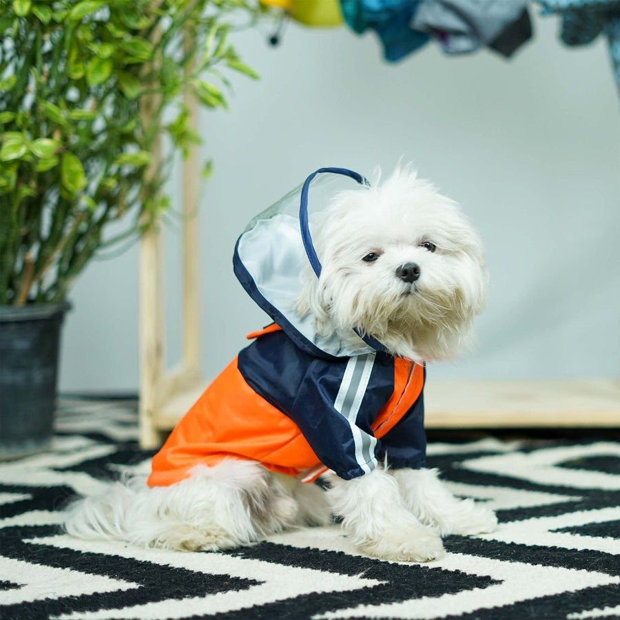 Pets Way Rainstorm Lava Raincoat for Dogs