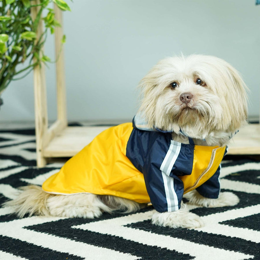 Pets Way Rainstorm Canary Raincoat for Dogs