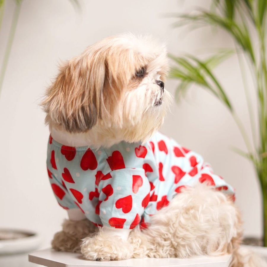Pets Way Little Heart Printed T-Shirt for Dogs
