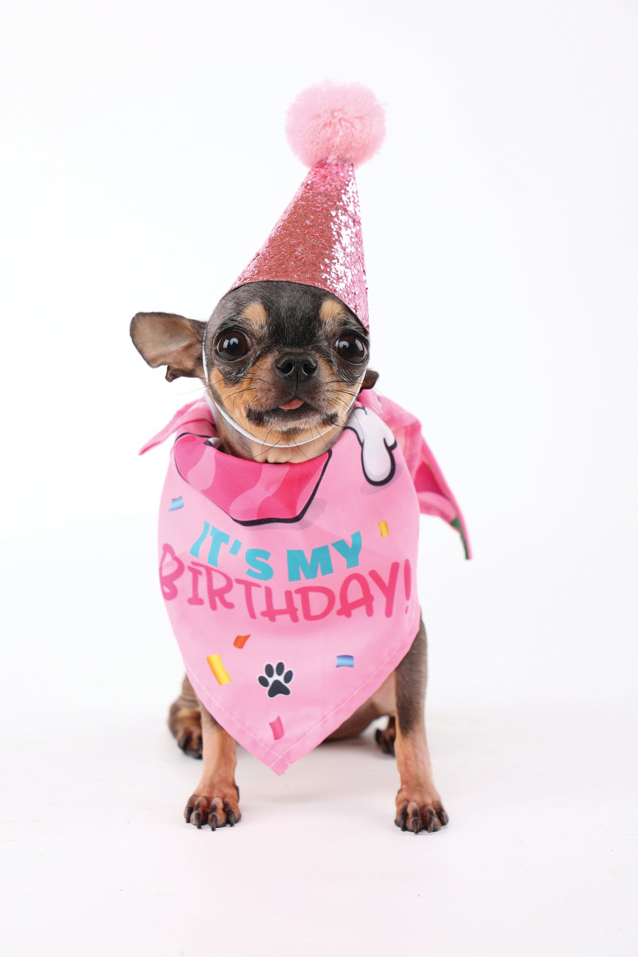 M-Pets Party Time Lady's Set