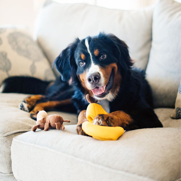 Zippy Paws Zippy Burrow Monkey N Banana Plush Toy for Dogs