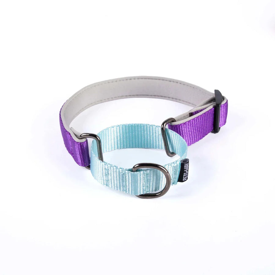 Pets Way Martingale No Choke Collar For Dogs