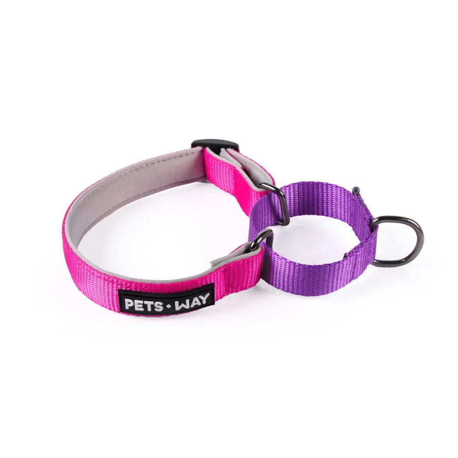 Pets Way Martingale No Choke Collar For Dogs