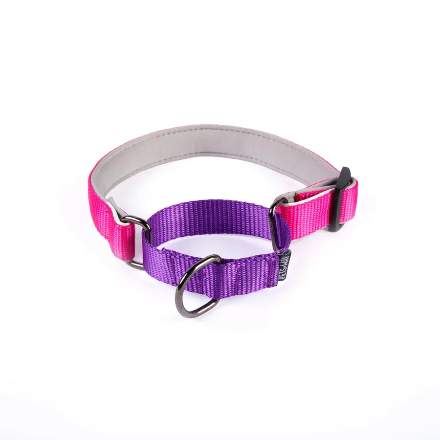 Pets Way Martingale No Choke Collar For Dogs