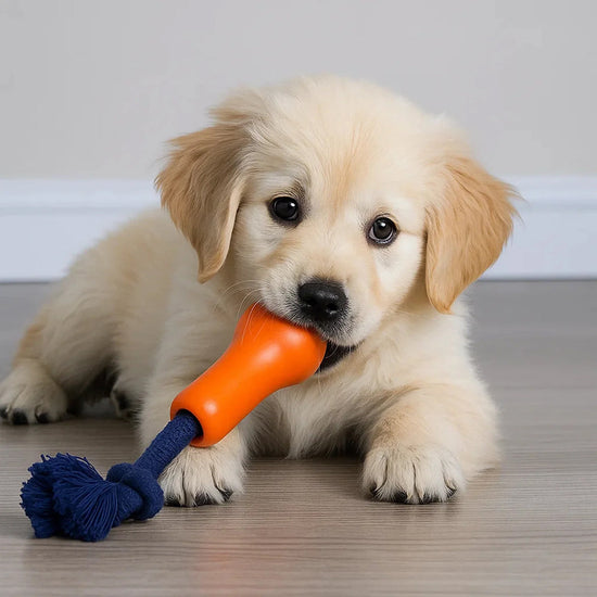 Joyser Ropper Dog Toy