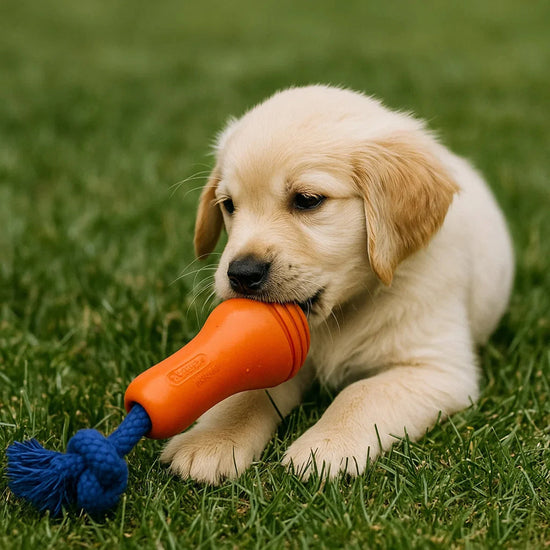 Joyser Ropper Dog Toy