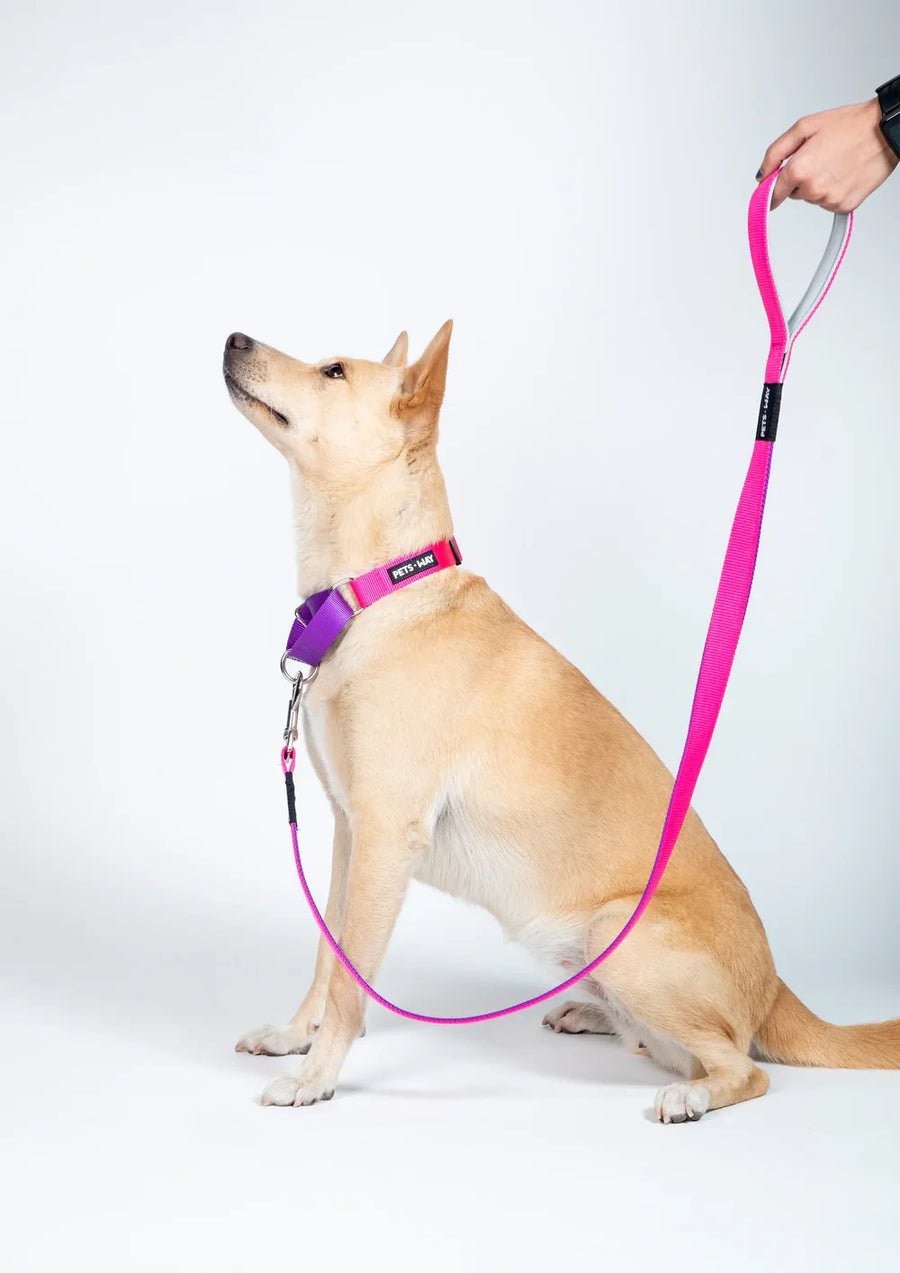 Pets Way Martingale No Choke Collar For Dogs
