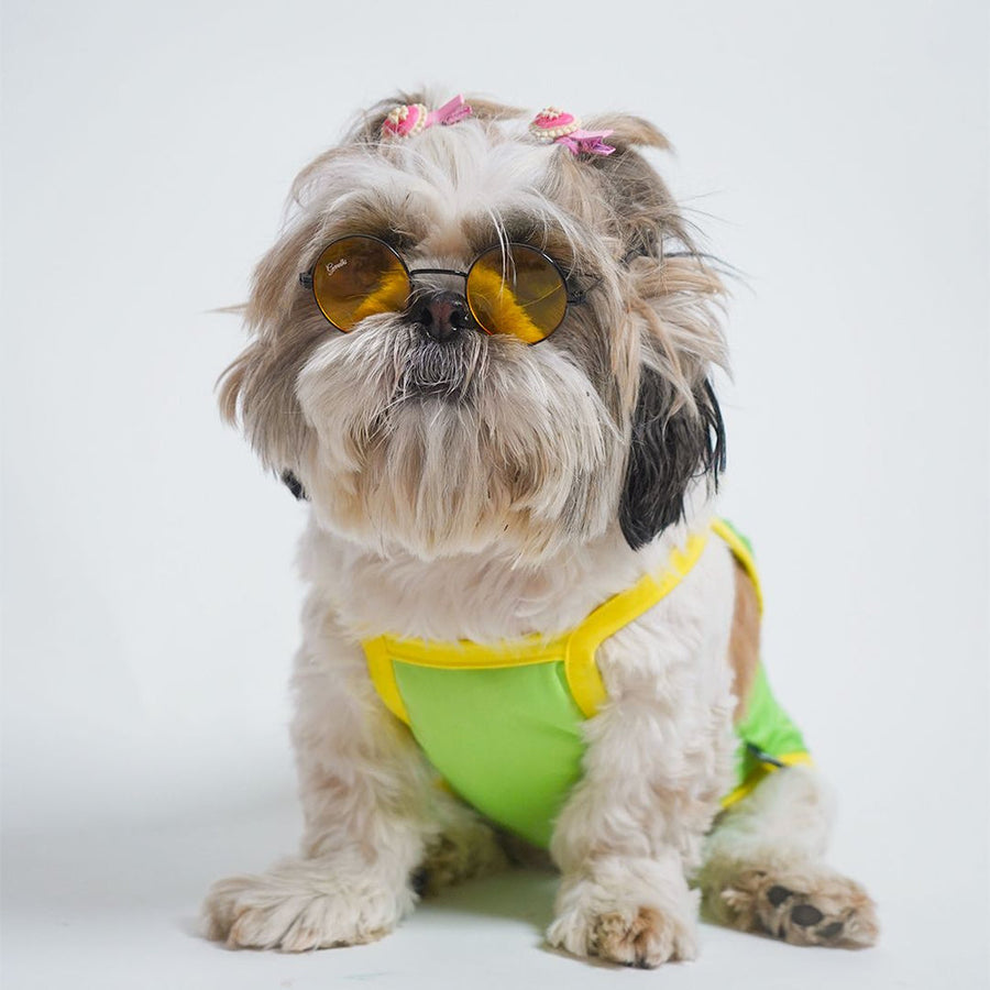Pets Way Solid Grass Powerful Vest for Dogs
