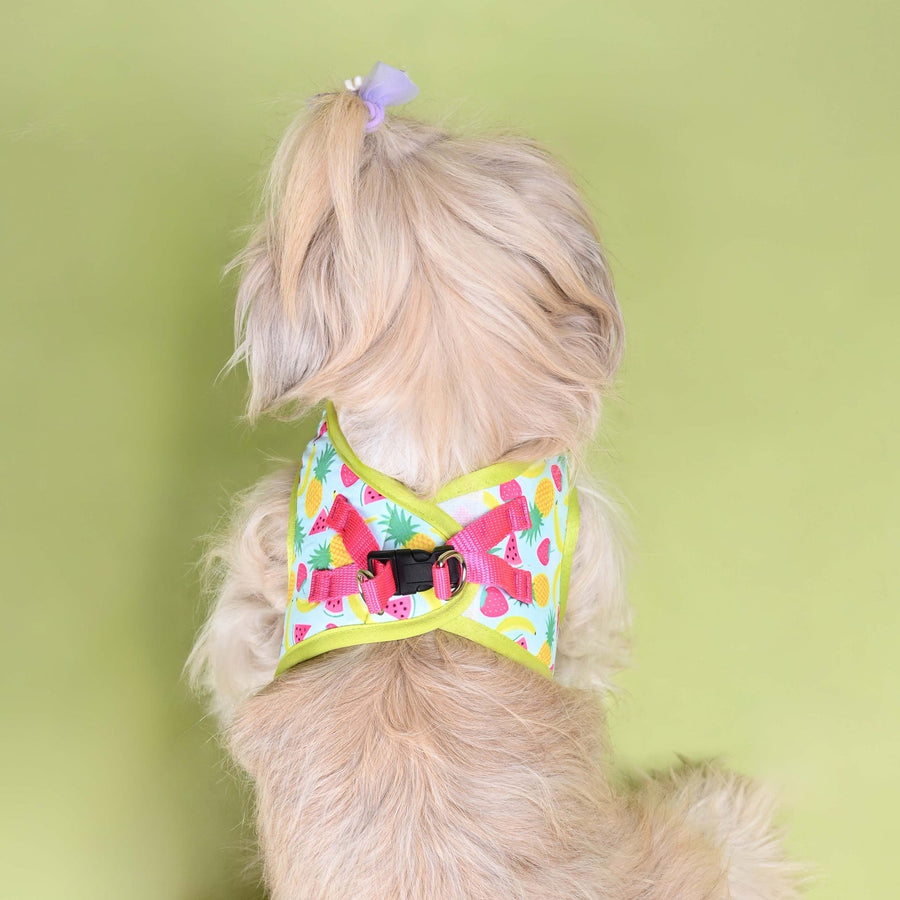Pets Way Fruity Printed Mesh Harness for Small Dogs