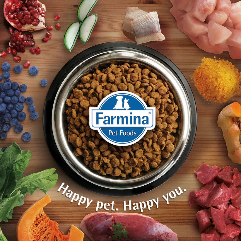 N&D Ocean Cod Pumpkin and Cantaloupe Melon Mini Puppy Dry Food