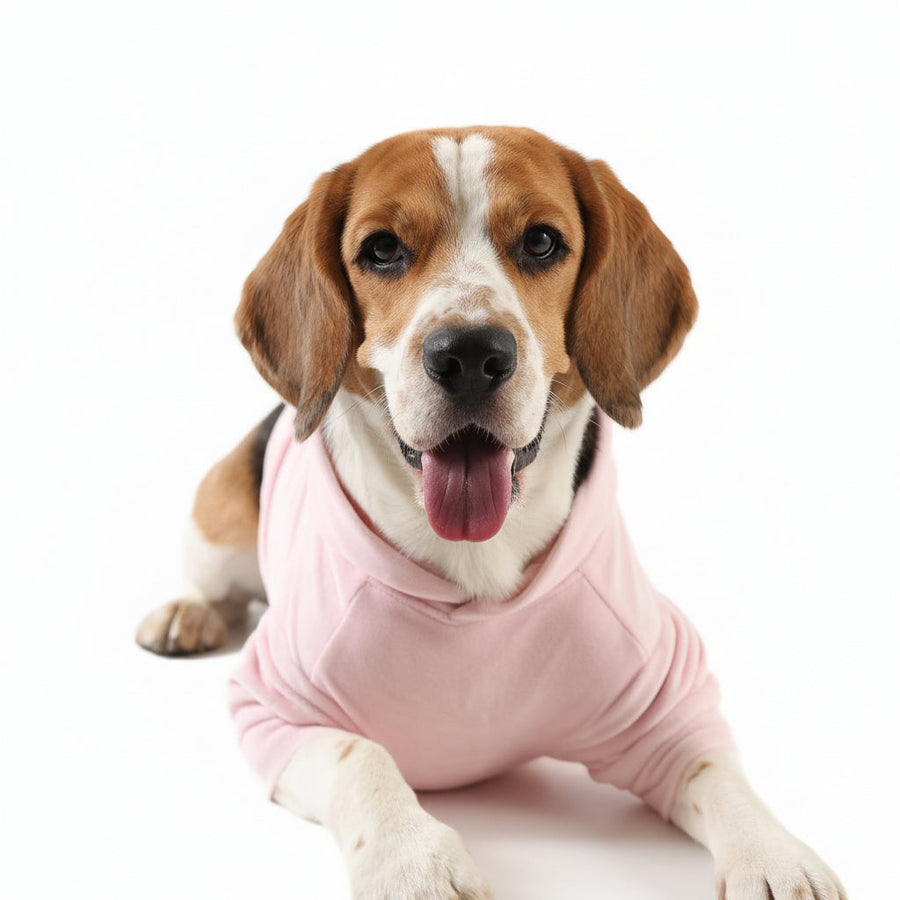 Lemon Tails Style Super Soft Dog Hoodies