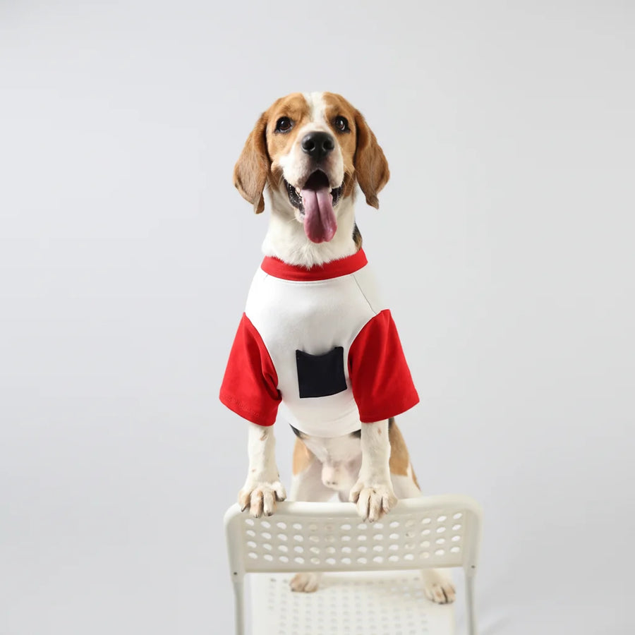 Lemon Tails Pocket Biscuit Dog T-shirt