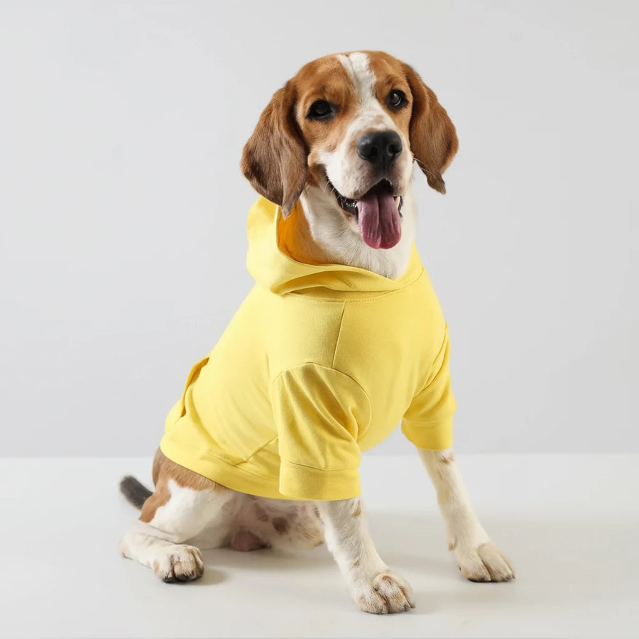 Lemon Tails Style All Weather Solid Dog Hoodies