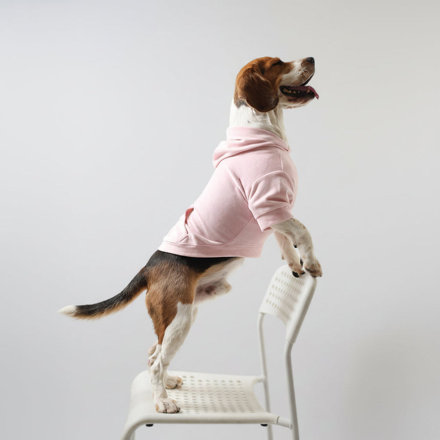 Lemon Tails Style Super Soft Dog Hoodies