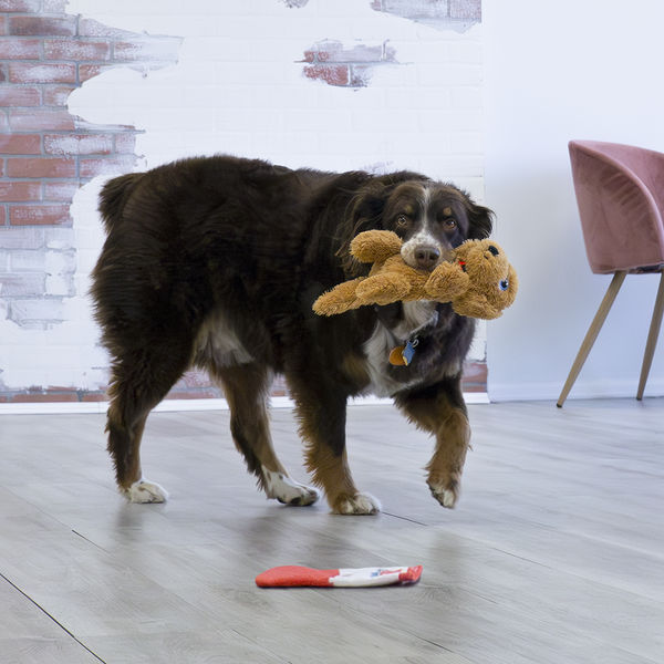 Kong Comfort Pups Goldie Toy for Dogs
