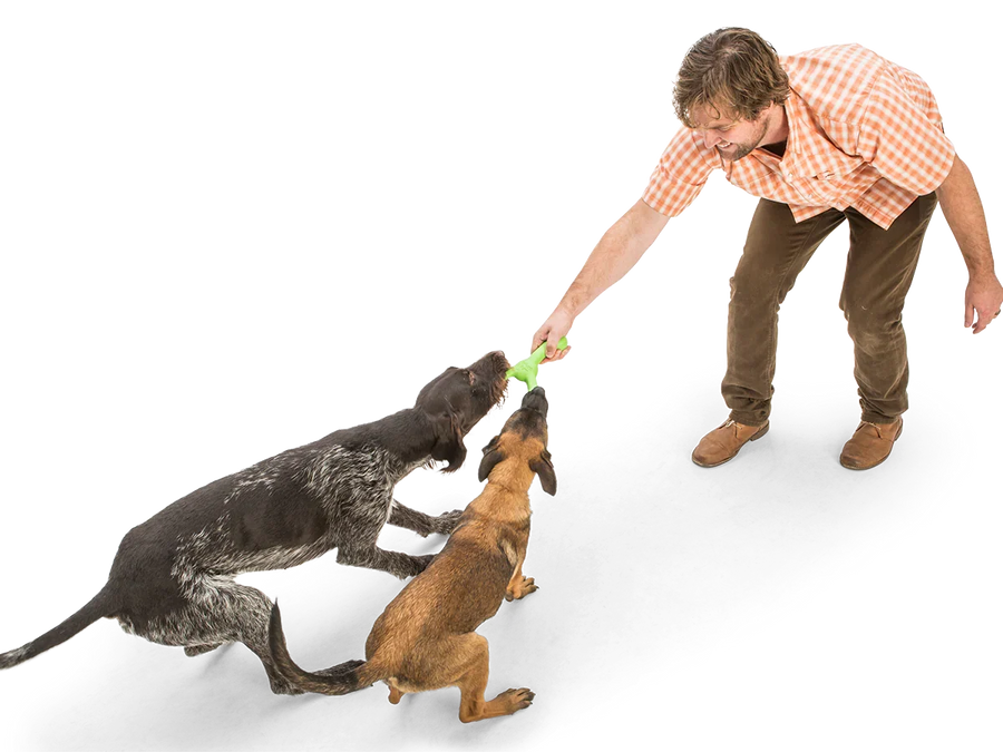 West Paw Zogoflex Echo Skamp Fetch Standard Dog Toys