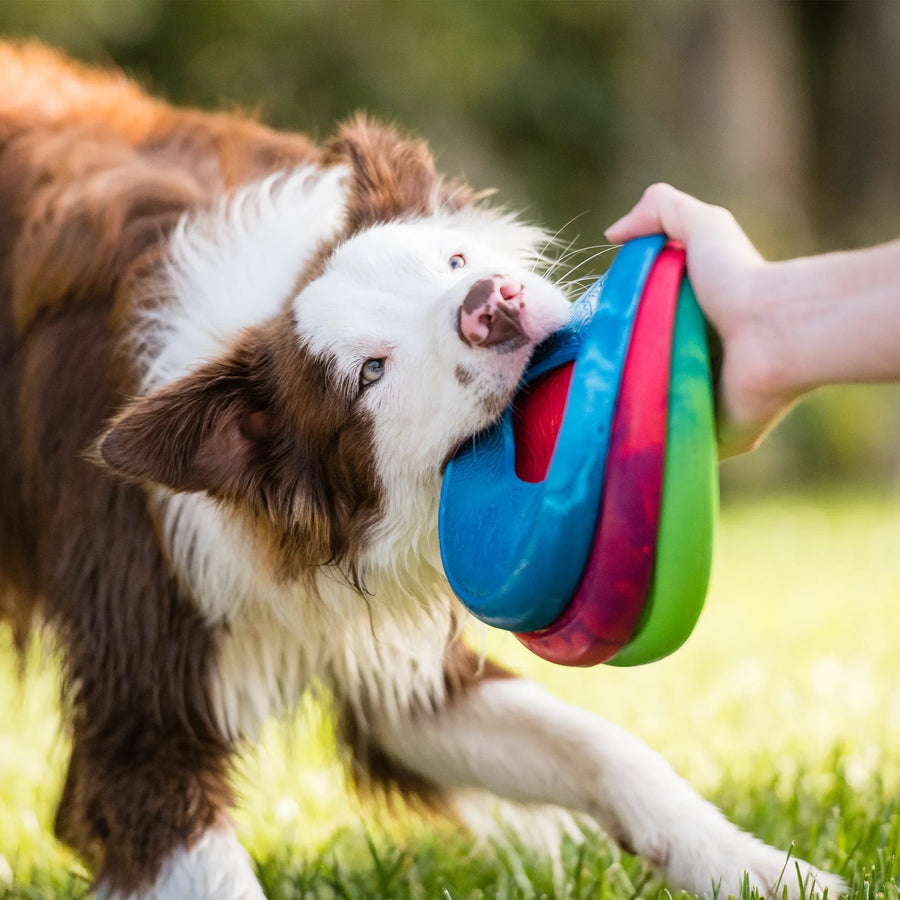 West Paw Zogoflex Sailz Dog Toy