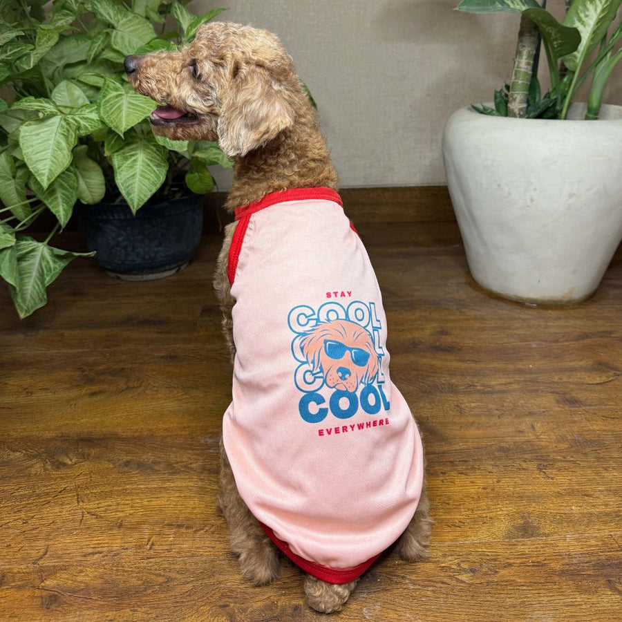 Pets Way Solid Flamingo Stay cool Vest for Dogs