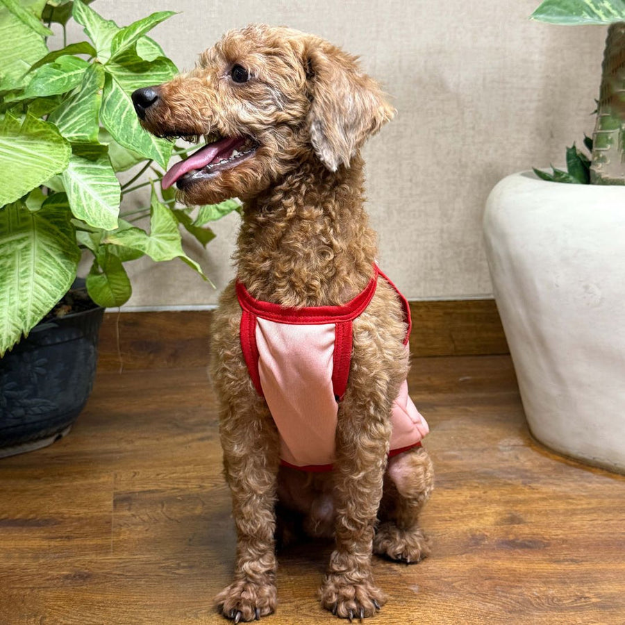 Pets Way Solid Flamingo Stay cool Vest for Dogs