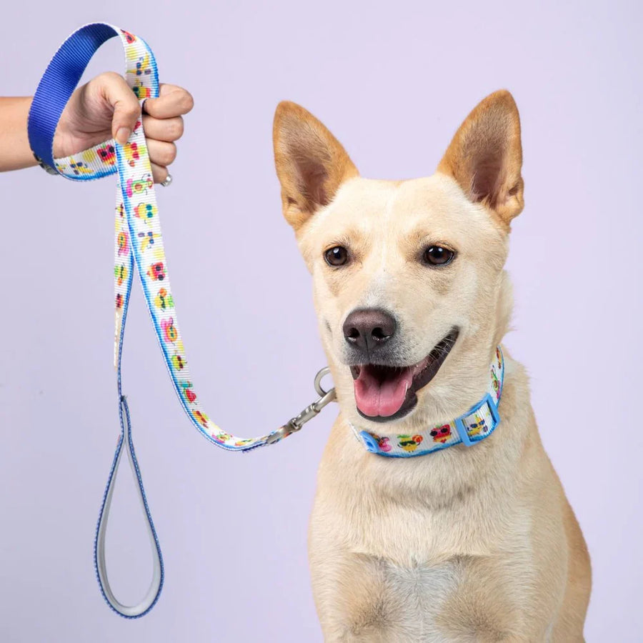 Pets Way Printed Collar For Dogs