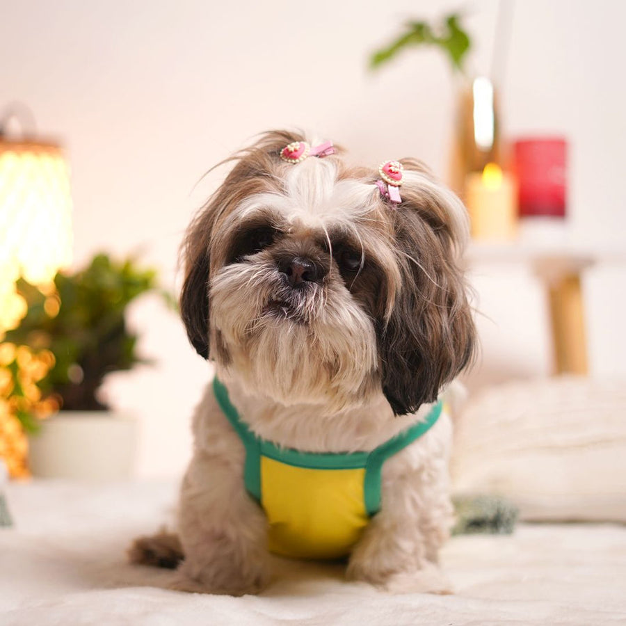 Pets Way Solid Sunshine Little Dreamer Vest for Dogs