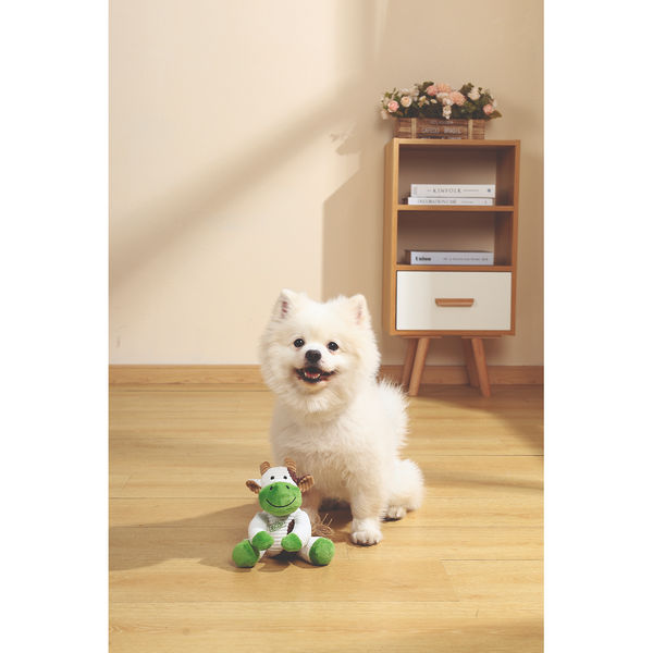 M-Pets Terra Eco Toy for Dogs