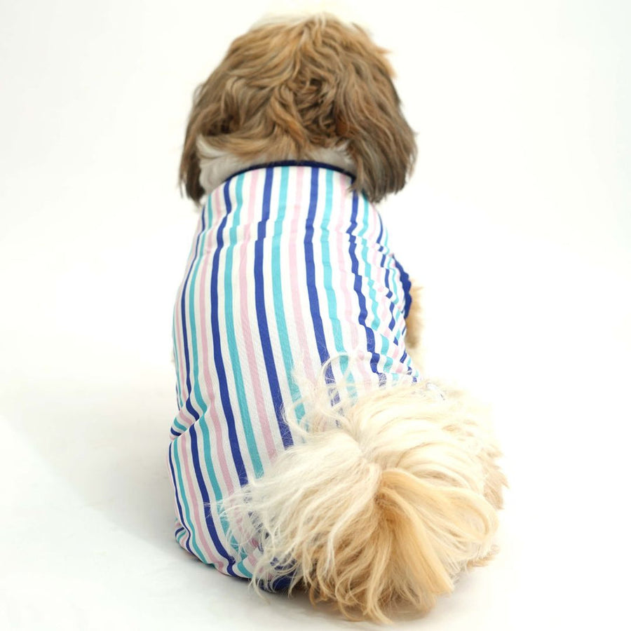 Pets Way Tall Tails Printed Vest for Dogs