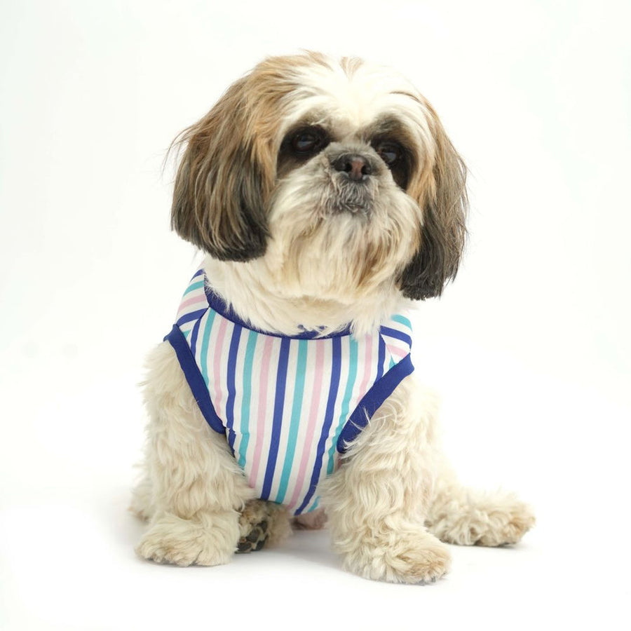 Pets Way Tall Tails Printed Vest for Dogs