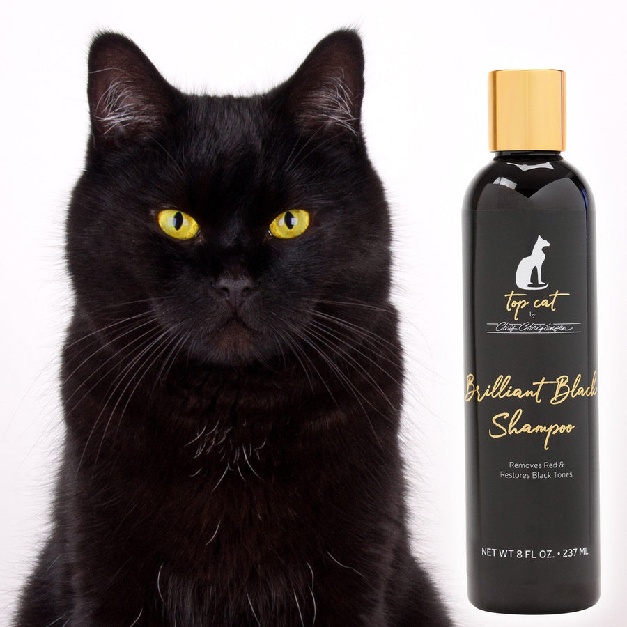 Chris Christensen Brilliant Black Shampoo