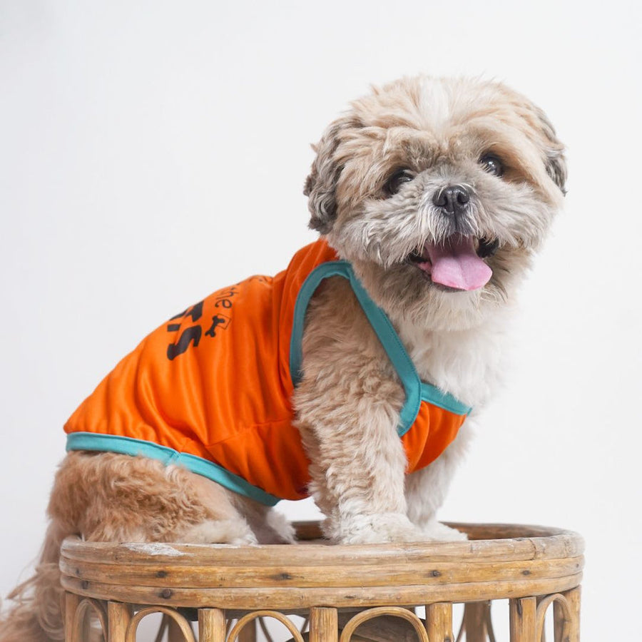 Pets Way Solid Tangerine Treats Vest for Dogs