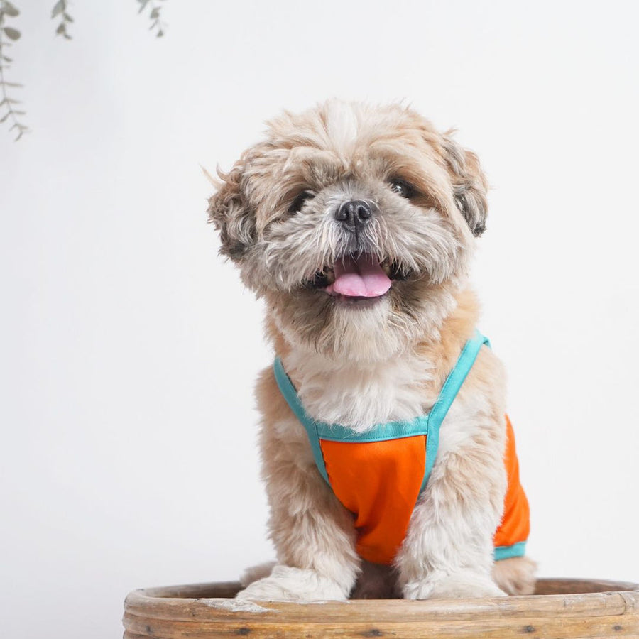 Pets Way Solid Tangerine Treats Vest for Dogs