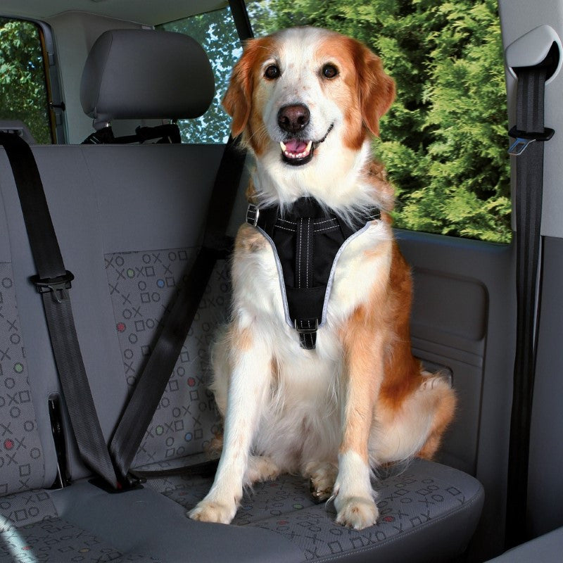 Trixie Car Safety Harness for Dogs