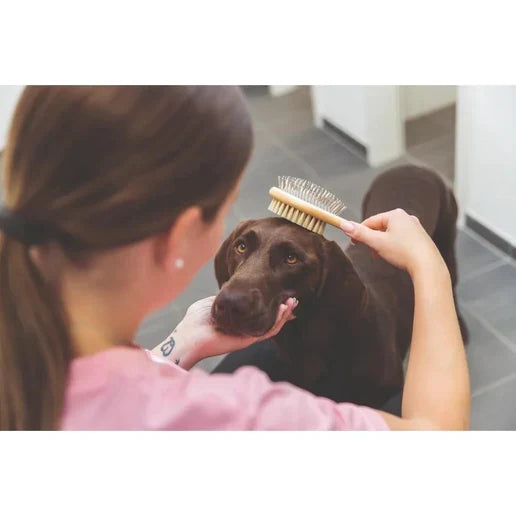 Trixie Bamboo Double Sided Brush for Dogs