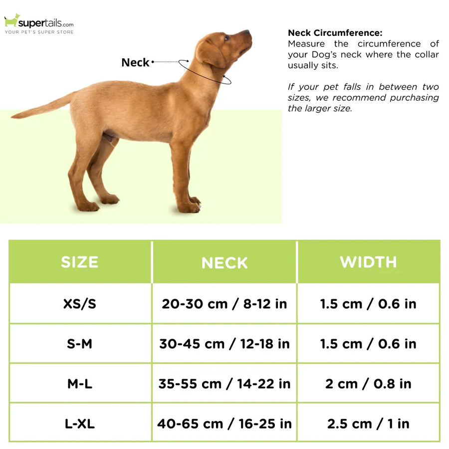 Trixie Softline Elegance Collar for Dogs