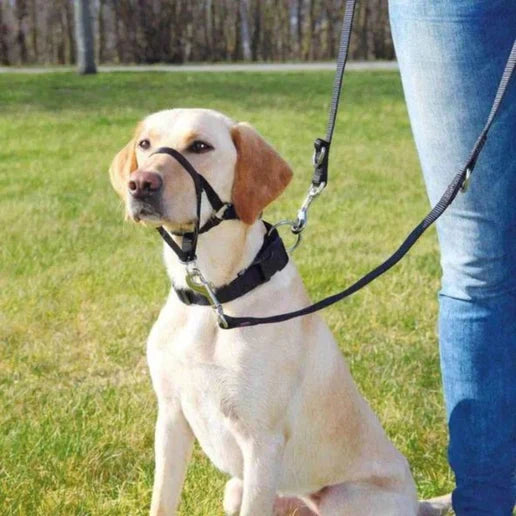 Trixie Top Trainer Training Harness for Dogs