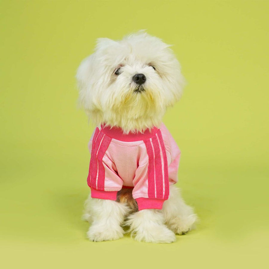 Pets Way Dive In Stripes Blush T-Shirt for Dogs