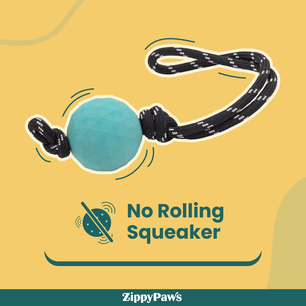 Zippy Paws ZippyTuff Waggle RopeTugz Plush Toy for Dogs