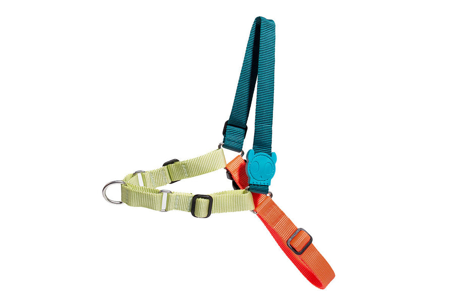 Zee Dog Softwalk Harness for Dogs