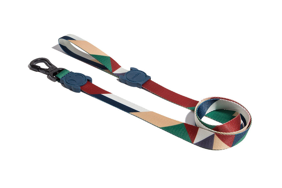 Zee Dog Leash for Dogs - Blast