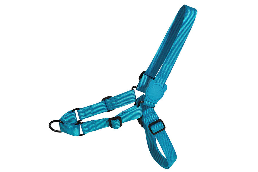 Zee Dog Ultimate Softwalk Harness for Dogs