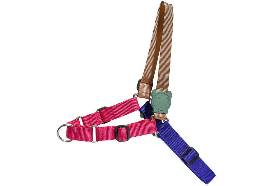 Zee Dog Yucca Softwalk Harness for Dogs