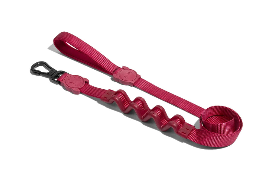 Zee Dog Leash for Dogs - Artsy