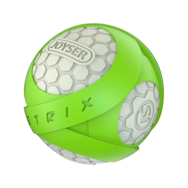 Joyser Netrix Ball Dog Toy