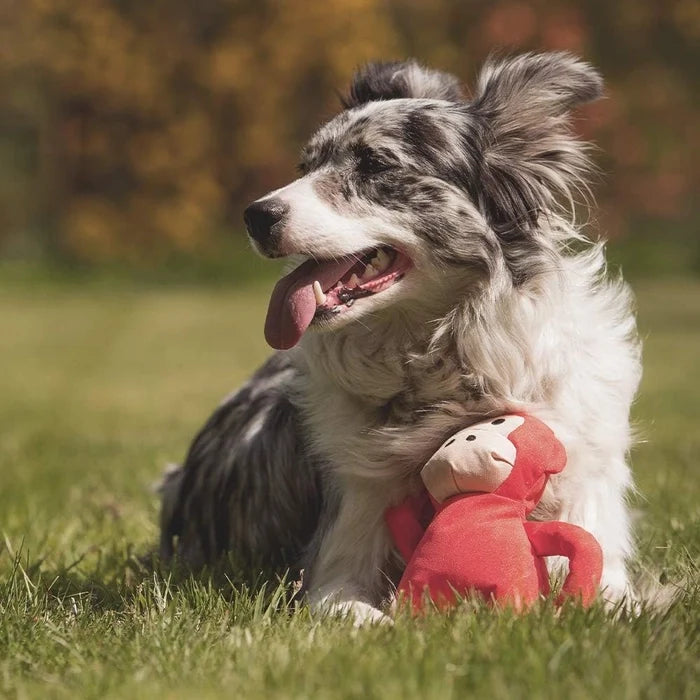Beco Pets Michelle The Monkey Dog Toy