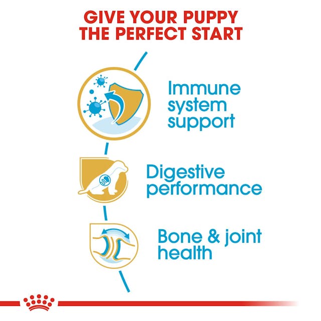 Royal Canin German Shepherd Puppy Dog Dry Food