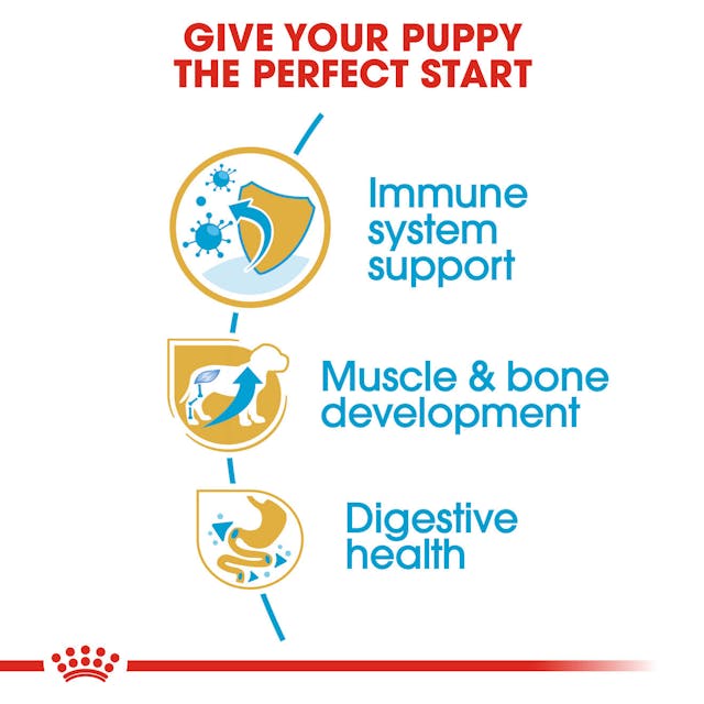 Royal Canin Rottweiler Puppy Dog Dry Food