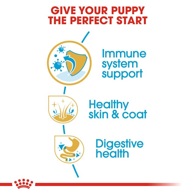 Royal Canin Shitzu Puppy Dog Dry Food