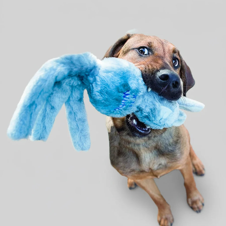 Kong Wubba Friends Dog Toy