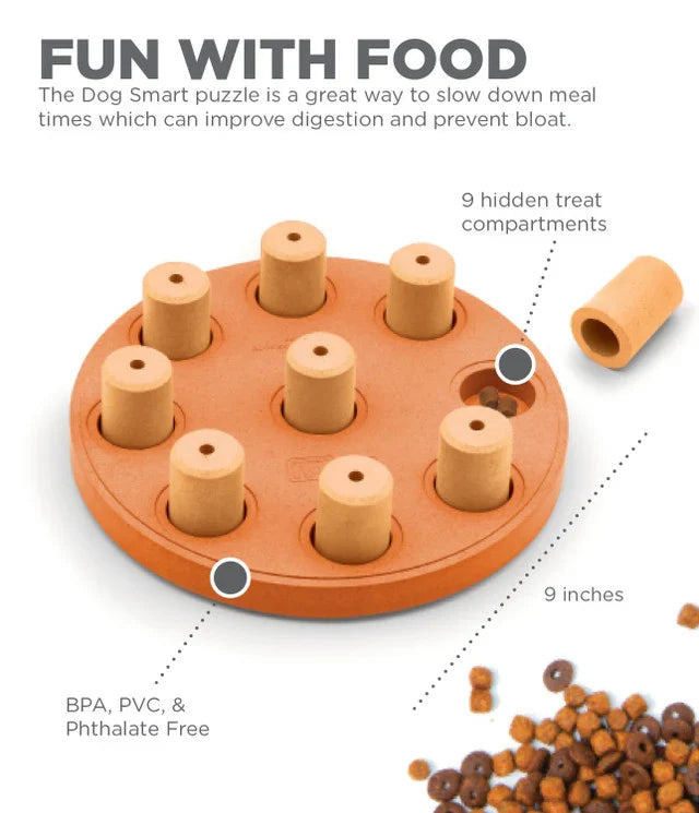 Outward Hound Dog Smart Composite Interactive Treats Game